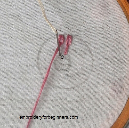 completing long tailed daisy