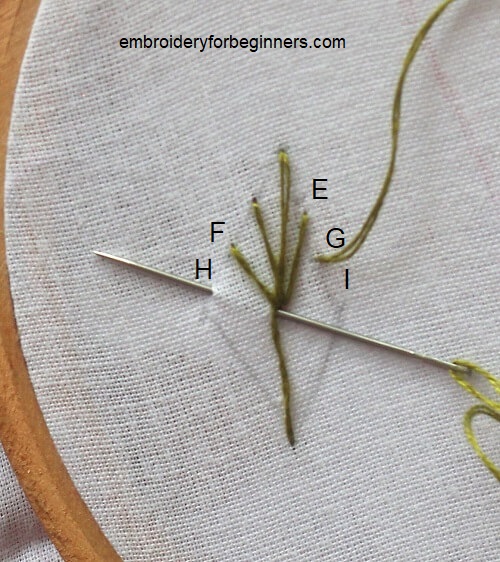 finishing ray stitch