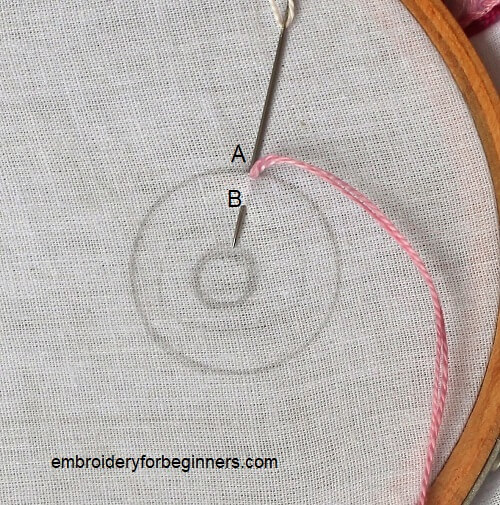 starting long tailed daisy