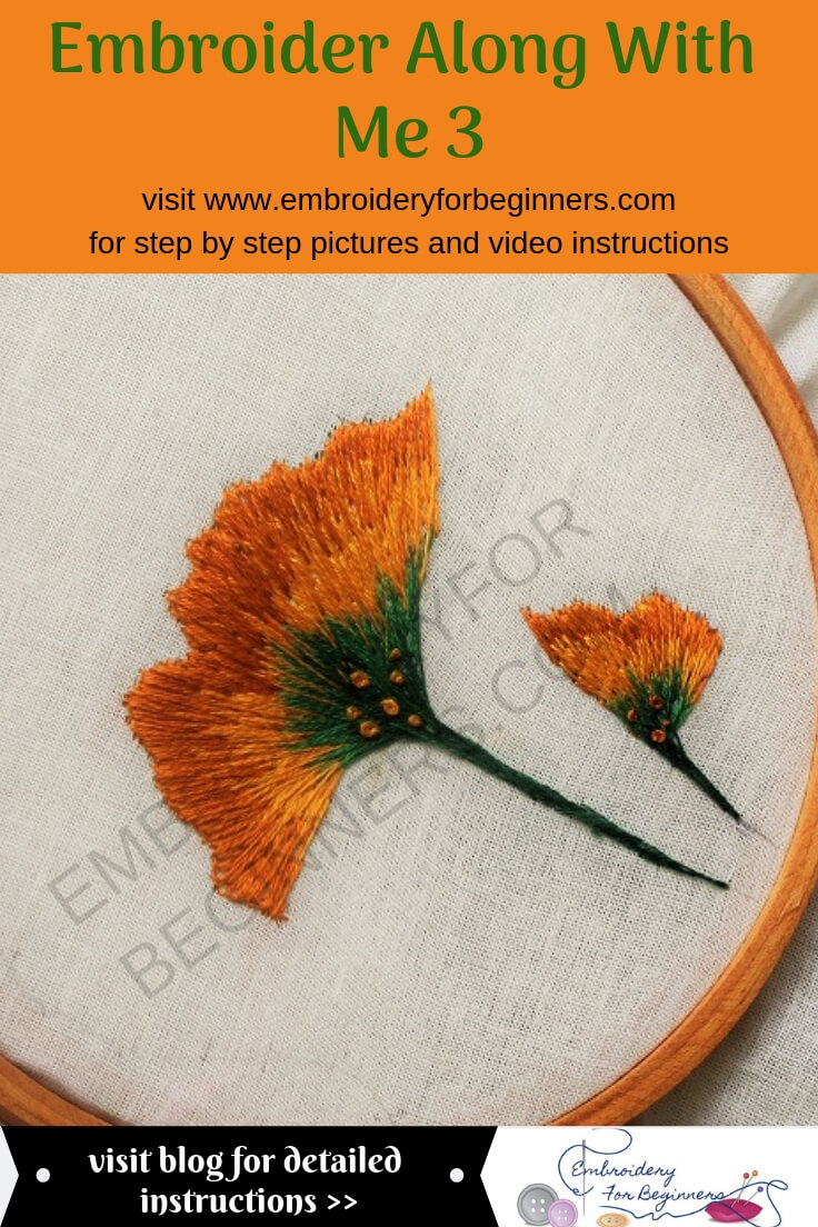 step by step pictures and video instructions for making the embroider along with me series 3